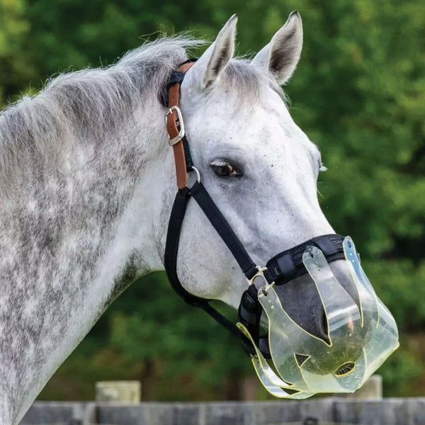 Flexible Filly Slow Feed Muzzle